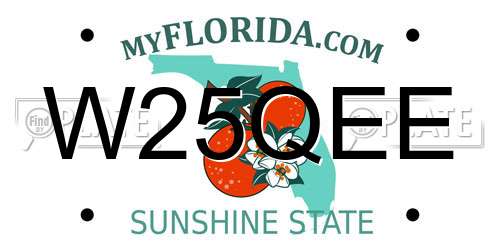 W25QEE Florida License Plate