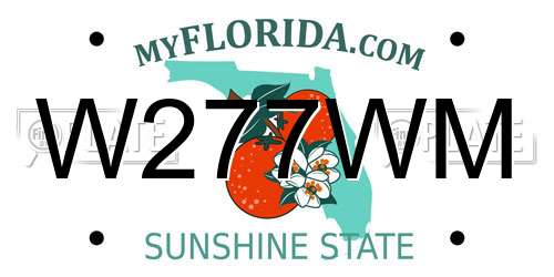 W277WM Florida License Plate