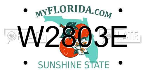 W2803E Florida License Plate
