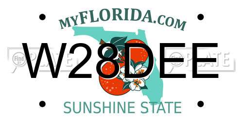 W28DEE Florida License Plate