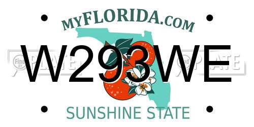 W293WE Florida License Plate