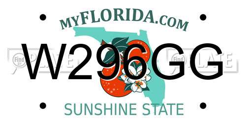 W296GG Florida License Plate