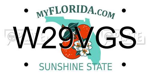 W29VGS Florida License Plate