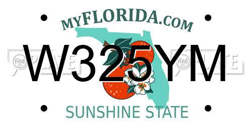 W325YM Florida License Plate