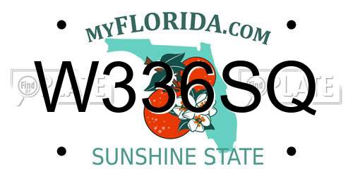 W336SQ Florida License Plate