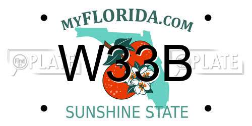 W33B Florida License Plate