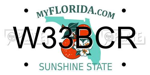 W33BCR Florida License Plate