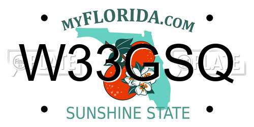 W33GSQ Florida License Plate