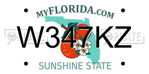 W347KZ Florida License Plate