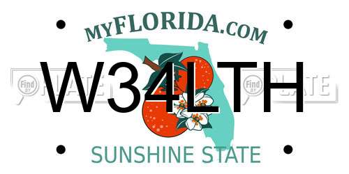 W34LTH Florida License Plate