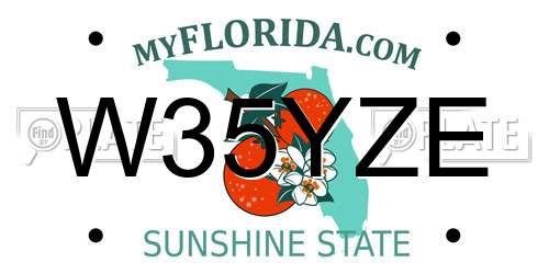 W35YZE Florida License Plate