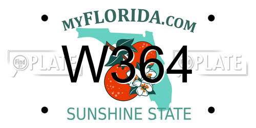 W364 Florida License Plate