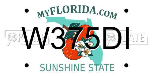 W375DI Florida License Plate