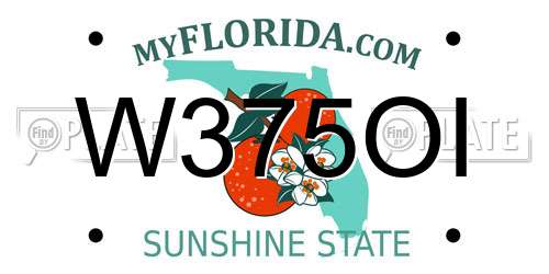 W375OI Florida License Plate
