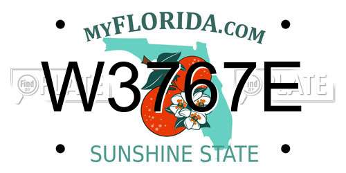 W3767E Florida License Plate