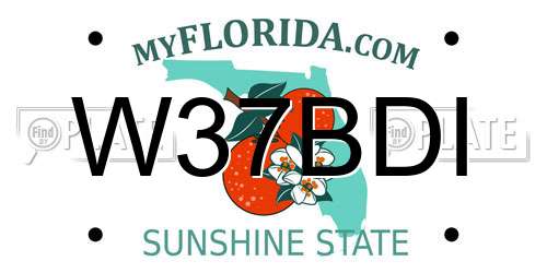 W37BDI Florida License Plate