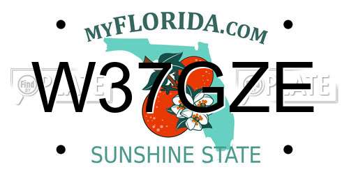 W37GZE Florida License Plate