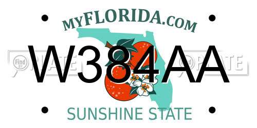 W384AA Florida License Plate
