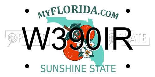 W390IR Florida License Plate