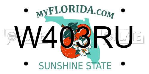 W403RU Florida License Plate