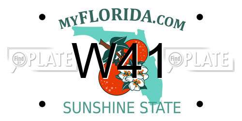 W41 Florida License Plate