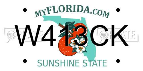 W413CK Florida License Plate
