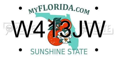 W413JW Florida License Plate