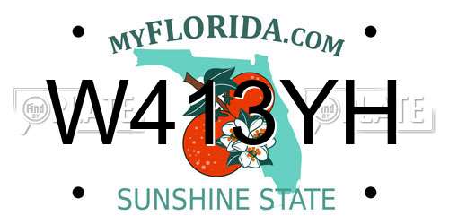 W413YH Florida License Plate