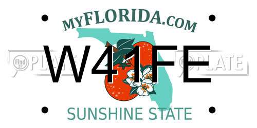W41FE Florida License Plate