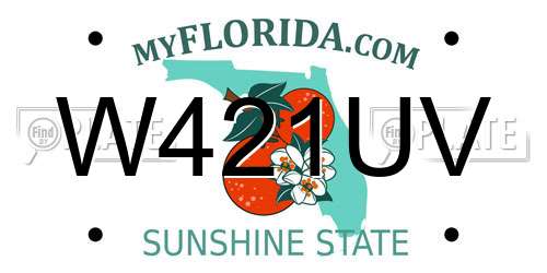 W421UV Florida License Plate
