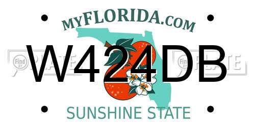 W424DB Florida License Plate