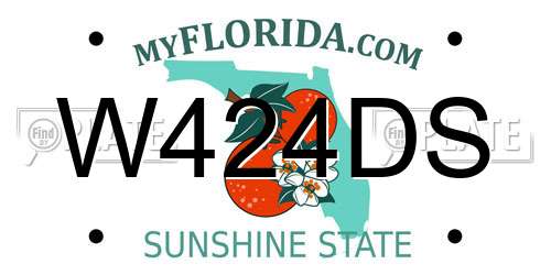 W424DS Florida License Plate