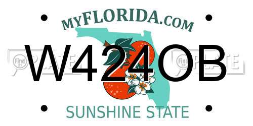 W424OB Florida License Plate