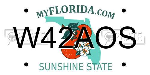 W42AOS Florida License Plate
