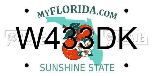 W433DK Florida License Plate