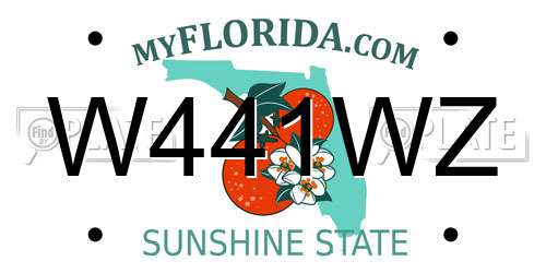 W441WZ Florida License Plate