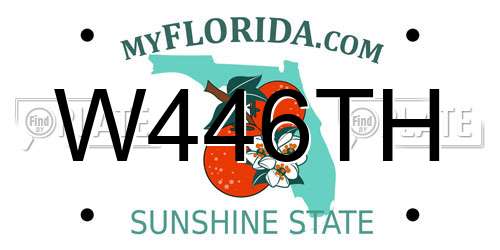 W446TH Florida License Plate