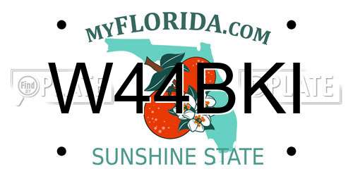 W44BKI Florida License Plate