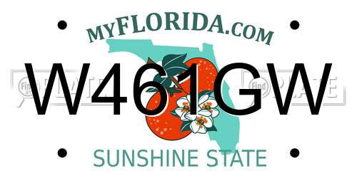 W461GW Florida License Plate