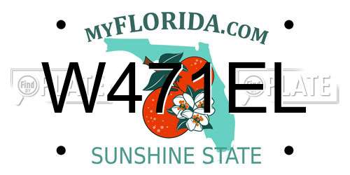 W471EL Florida License Plate