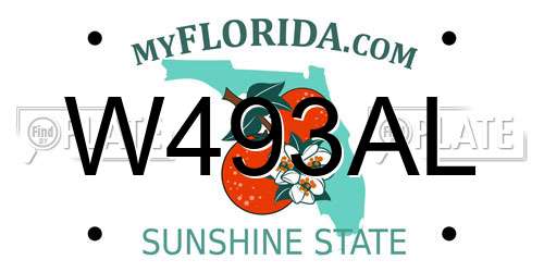 W493AL Florida License Plate