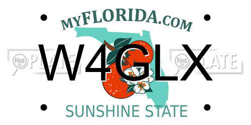 W4GLX Florida License Plate