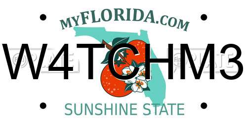 W4TCHM3 Florida License Plate
