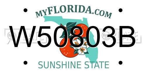 W50803B Florida License Plate