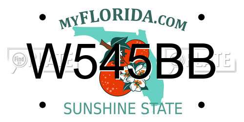 W545BB Florida License Plate