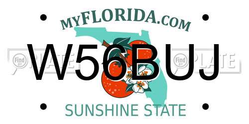 W56BUJ Florida License Plate