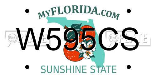 W595CS Florida License Plate
