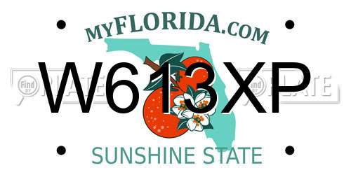 W613XP Florida License Plate