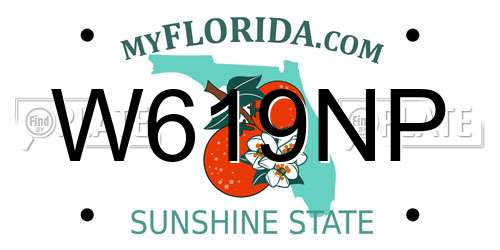 W619NP Florida License Plate