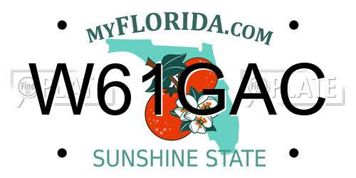 W61GAC Florida License Plate